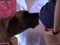 Teen drinks dog semen and got her pussy eaten
